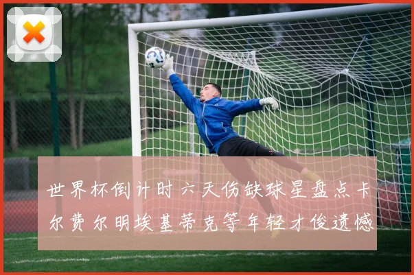 世界杯倒计时六天伤缺球星盘点卡尔费尔明埃基蒂克等年轻才俊遗憾缺席